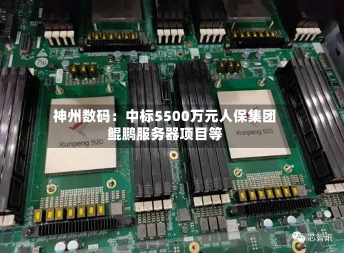 神州数码：中标5500万元人保集团鲲鹏服务器项目等-第2张图片