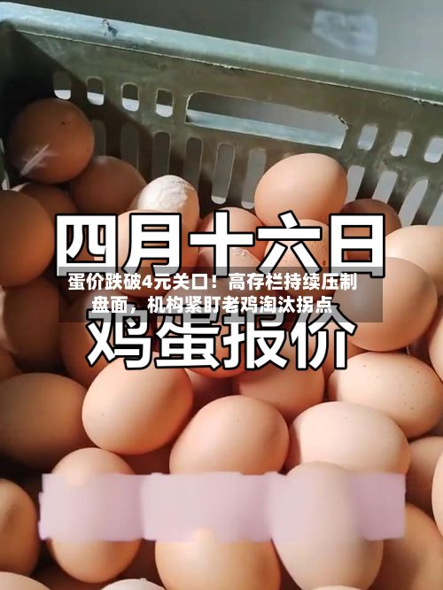 蛋价跌破4元关口！高存栏持续压制盘面，机构紧盯老鸡淘汰拐点-第3张图片