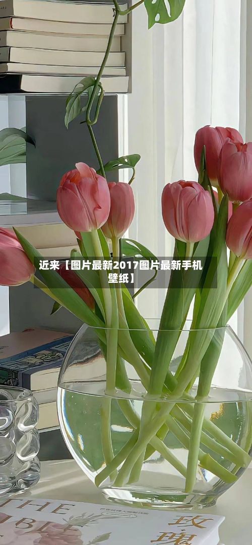 近来【图片最新2017图片最新手机壁纸】-第2张图片