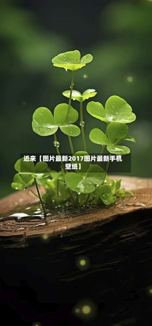 近来【图片最新2017图片最新手机壁纸】-第3张图片