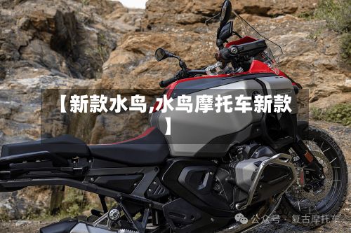【新款水鸟,水鸟摩托车新款】