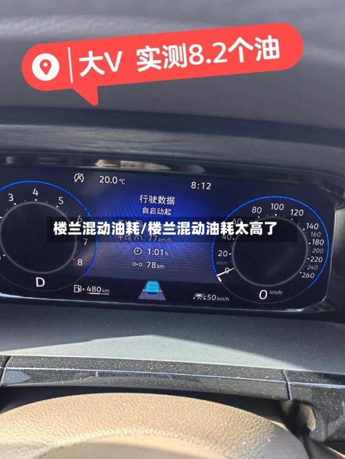 楼兰混动油耗/楼兰混动油耗太高了