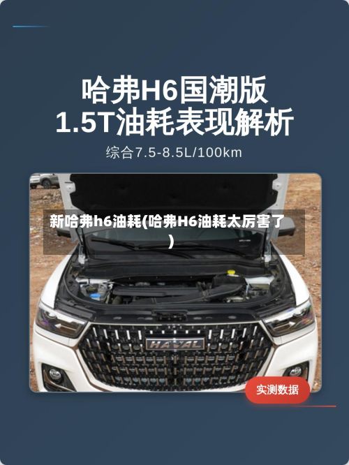 新哈弗h6油耗(哈弗H6油耗太厉害了)-第3张图片