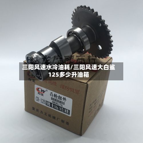 三阳风速水冷油耗/三阳风速大白鲨125多少升油箱-第3张图片