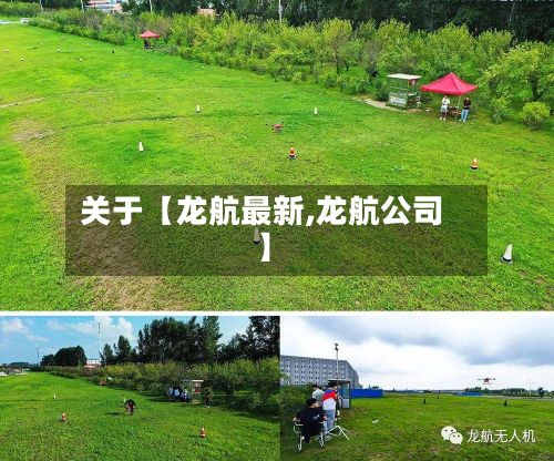 关于【龙航最新,龙航公司】-第1张图片