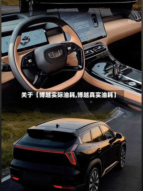 关于【博越实际油耗,博越真实油耗】-第2张图片