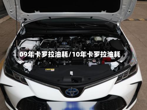09年卡罗拉油耗/10年卡罗拉油耗-第2张图片
