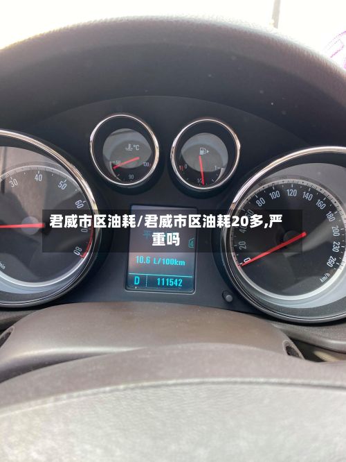 君威市区油耗/君威市区油耗20多,严重吗-第3张图片