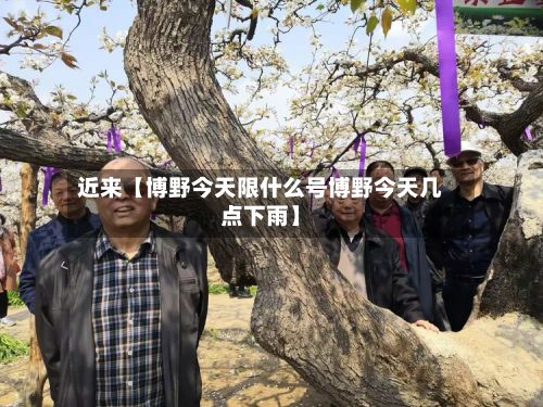 近来【博野今天限什么号博野今天几点下雨】-第3张图片