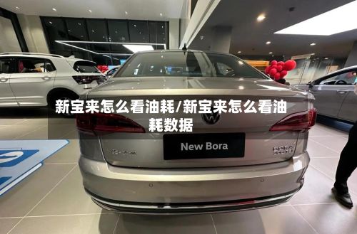 新宝来怎么看油耗/新宝来怎么看油耗数据-第3张图片