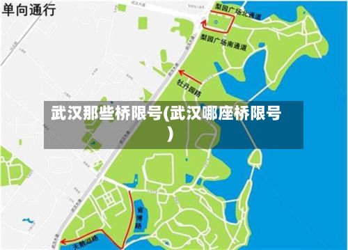 武汉那些桥限号(武汉哪座桥限号)-第3张图片