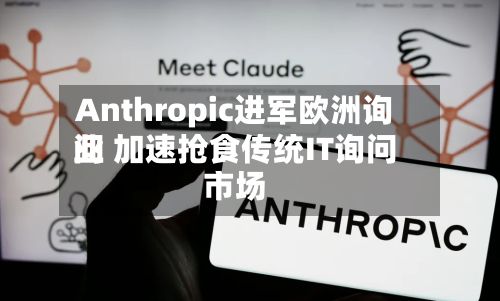 Anthropic进军欧洲询问
业 加速抢食传统IT询问
市场-第3张图片