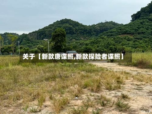 关于【新款唐谍照,新款探险者谍照】-第3张图片