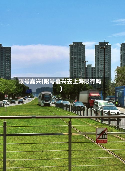 限号嘉兴(限号嘉兴去上海限行吗)-第2张图片