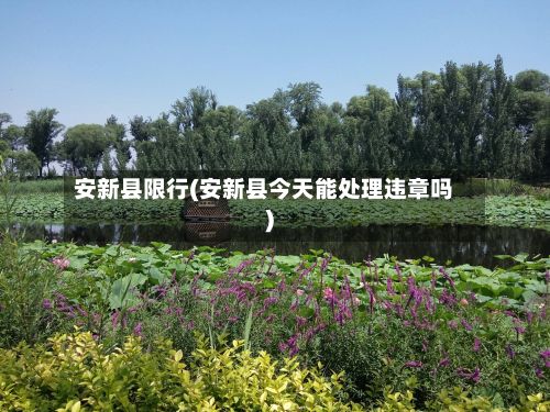 安新县限行(安新县今天能处理违章吗)